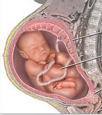Quando il feto si presenta in posizione podalica, il parto cesareo è più indicato di quello vaginale