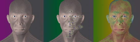 Un software di riconoscimento facciale individuando i marcatori rivelatori di stress o ansia 