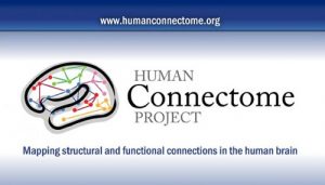 Human Connectome Project, l'organizazione di ricerca scientifica che sta elaborando il test prenatale sull'autismo