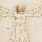 Leonardo l’uomo vitruviano