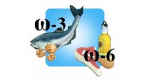 Una schematizzazione dei cibi che contengono più Omega3 ed Omega6