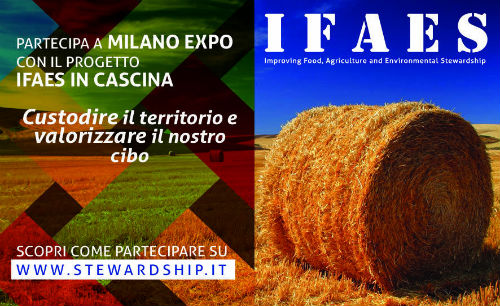 Il Progetto IFAES