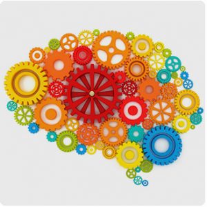 Nuove scoperte sul cervello