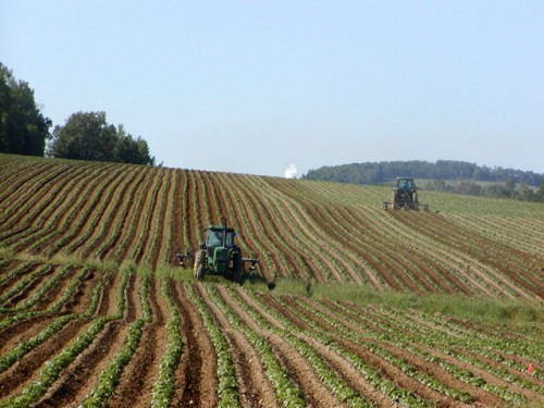 agricoltura sociale