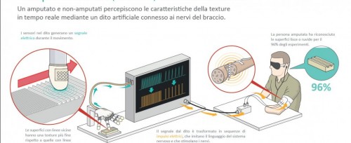funzionamento dello studio sul tatto bionico