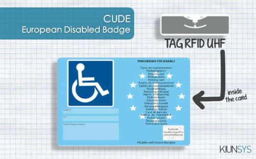 European Disability Card