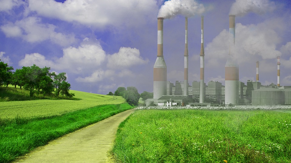 Alla Fondazione Irccs Santa Lucia un convegno sul rapporto tra ambiente e salute. Sul tema interverrà il Presidente dell'Istituto Superiore di Sanità Walter Ricciardi